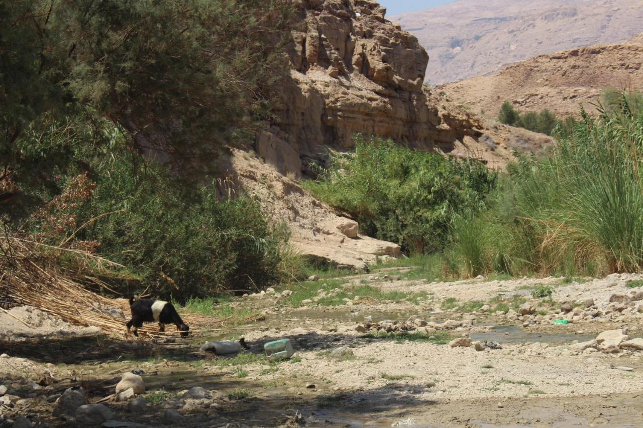 Hotel Wadi Al-Hassa Camp Khawkhah Exteriér fotografie