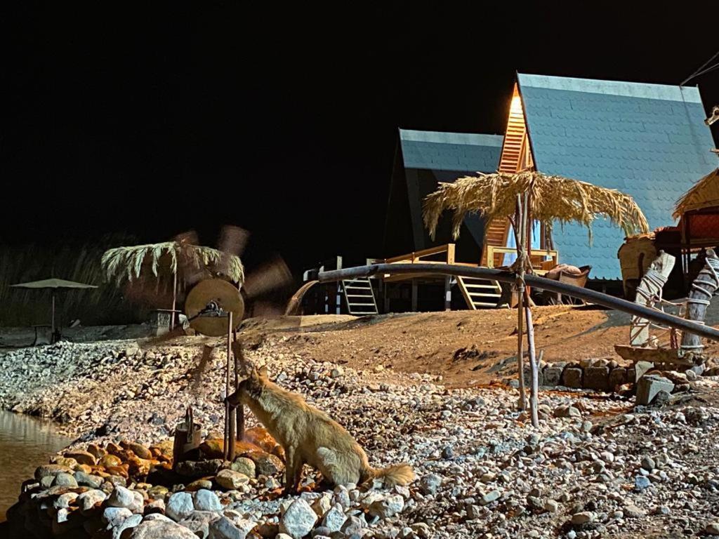Hotel Wadi Al-Hassa Camp Khawkhah Exteriér fotografie