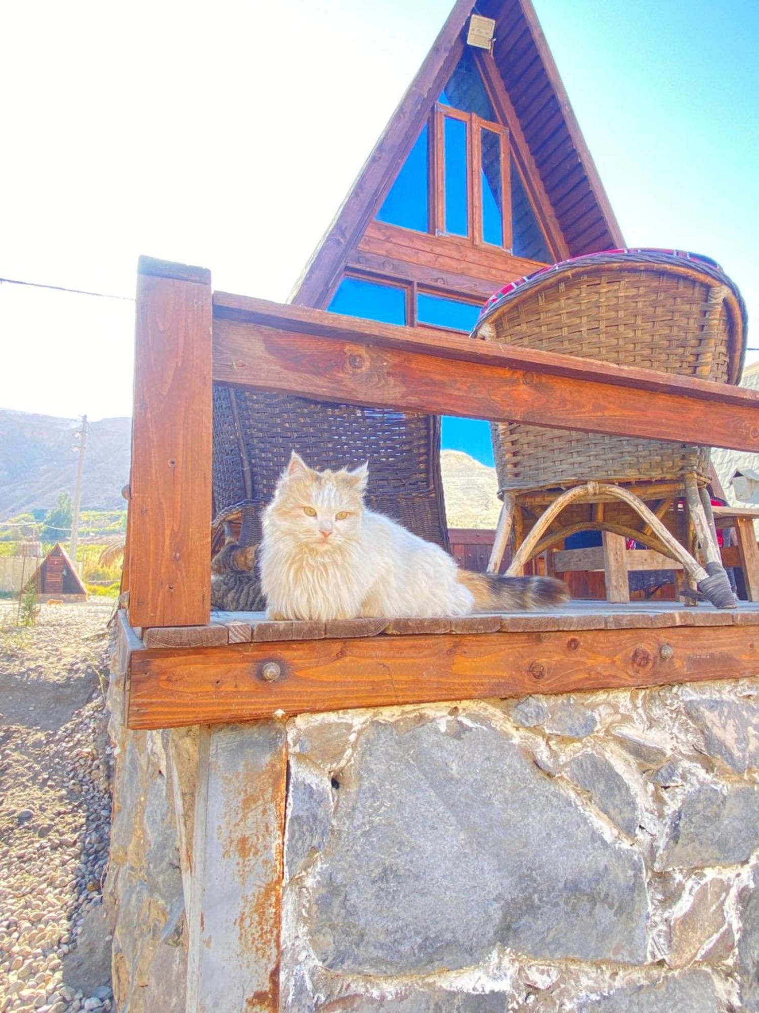 Hotel Wadi Al-Hassa Camp Khawkhah Exteriér fotografie